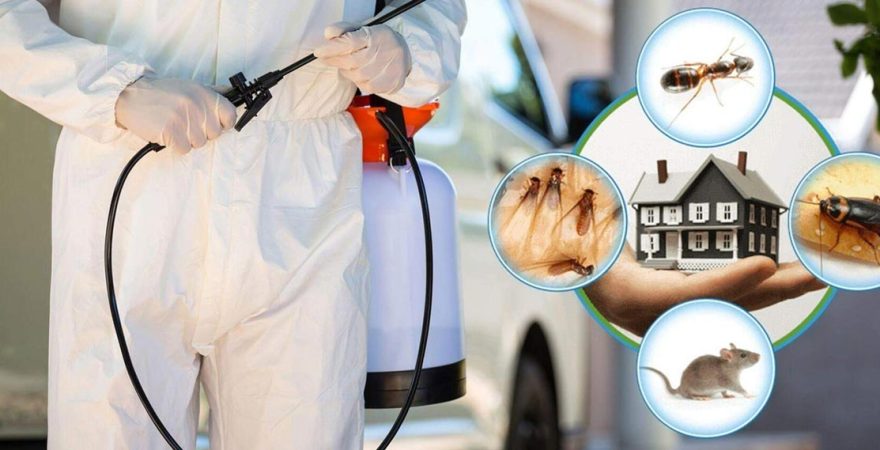 Şarkışla Böcek İlaçlama