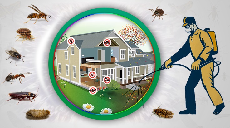 Şarkışla Böcek İlaçlama