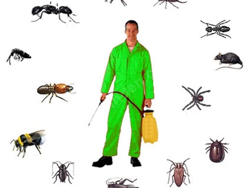 Şarkışla Böcek İlaçlama